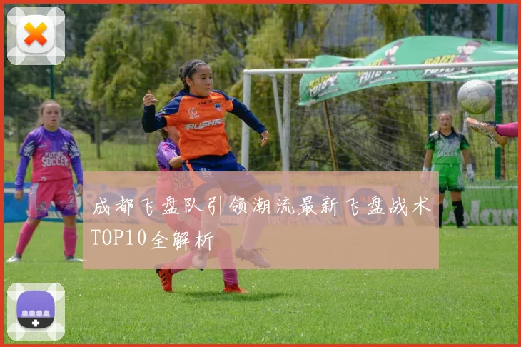 成都飞盘队引领潮流最新飞盘战术TOP10全解析